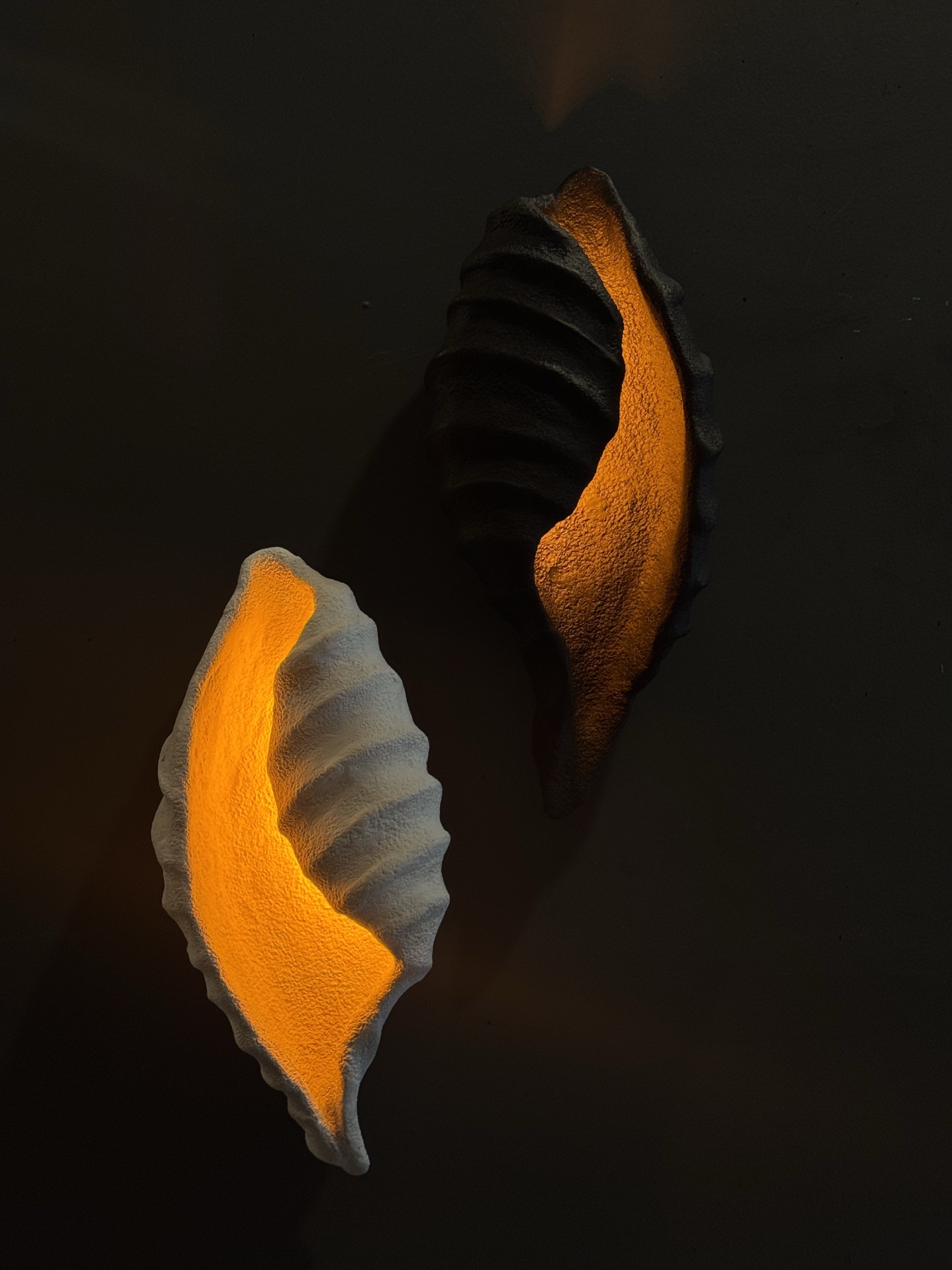 RAGA — view 2